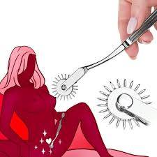 BDSM Toys Foreplay Pinwheel Sex Toys, Stainless Steel Wartenberg Wheel Roller Sex
