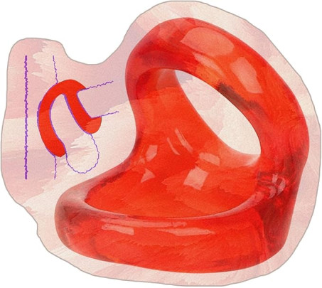 Men's Practice Ring, Stable Training Accessories