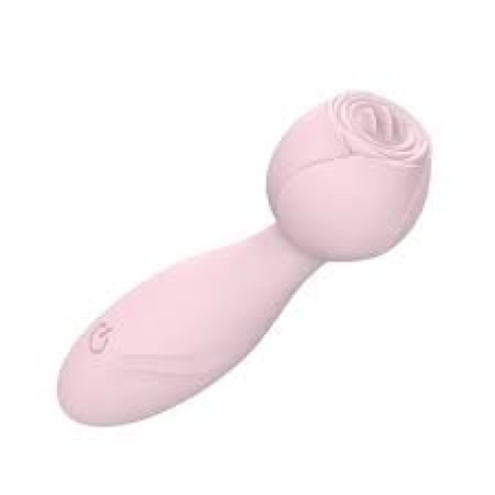 Blushing Pleasure Mini Rose Vibrator