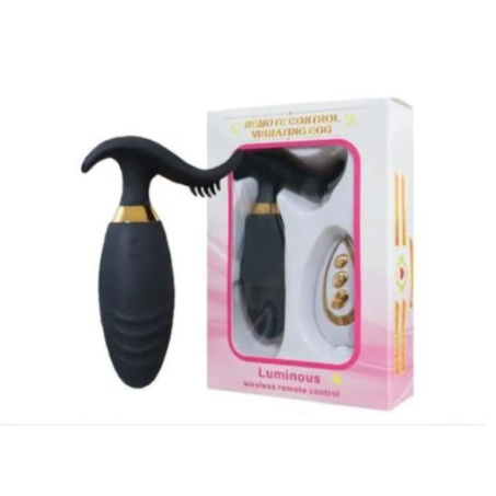 Silicone Egg Vibrator With Remote In Pakistan